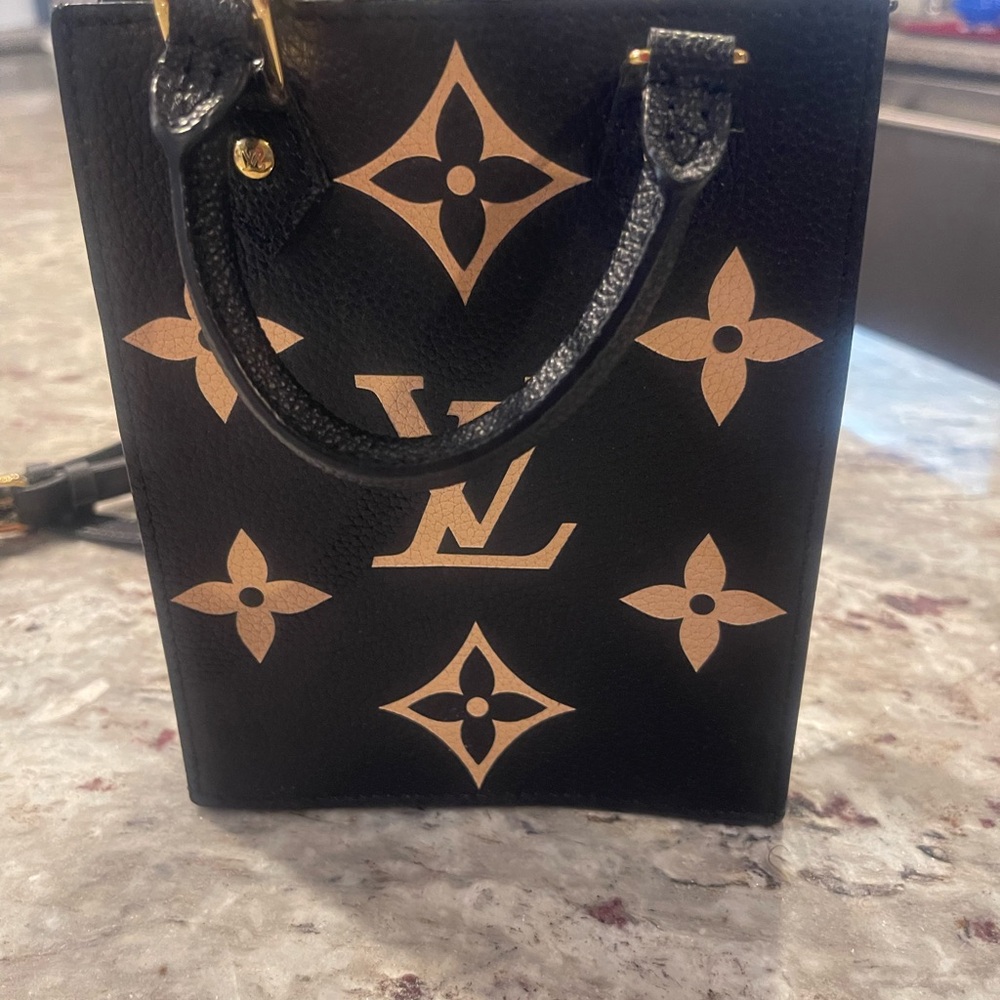 Louis Vuitton Black and Tan Mini Bag